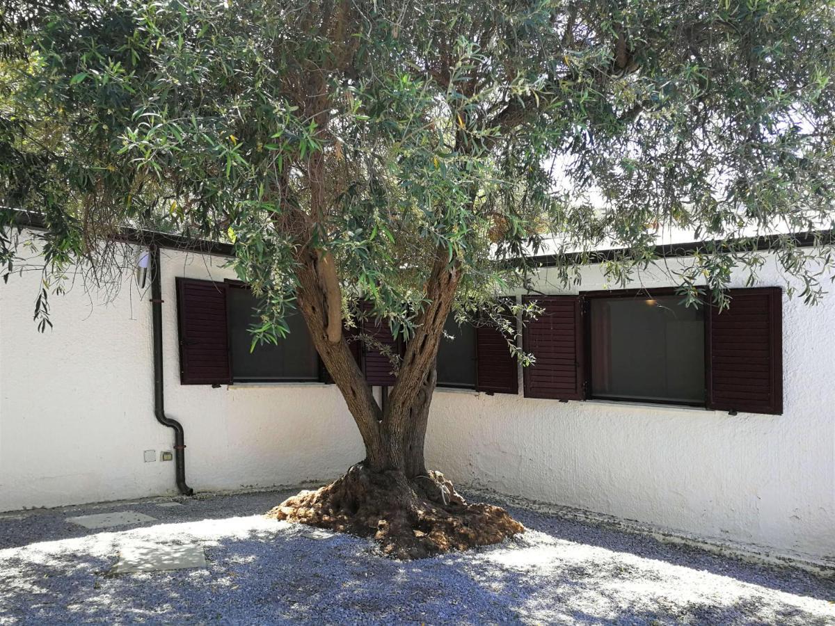 Villa La Plaja Cefalù Εξωτερικό φωτογραφία