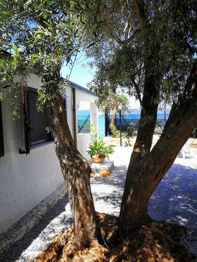 Villa La Plaja Cefalù Εξωτερικό φωτογραφία