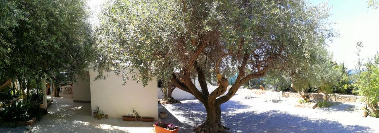 Villa La Plaja Cefalù Εξωτερικό φωτογραφία